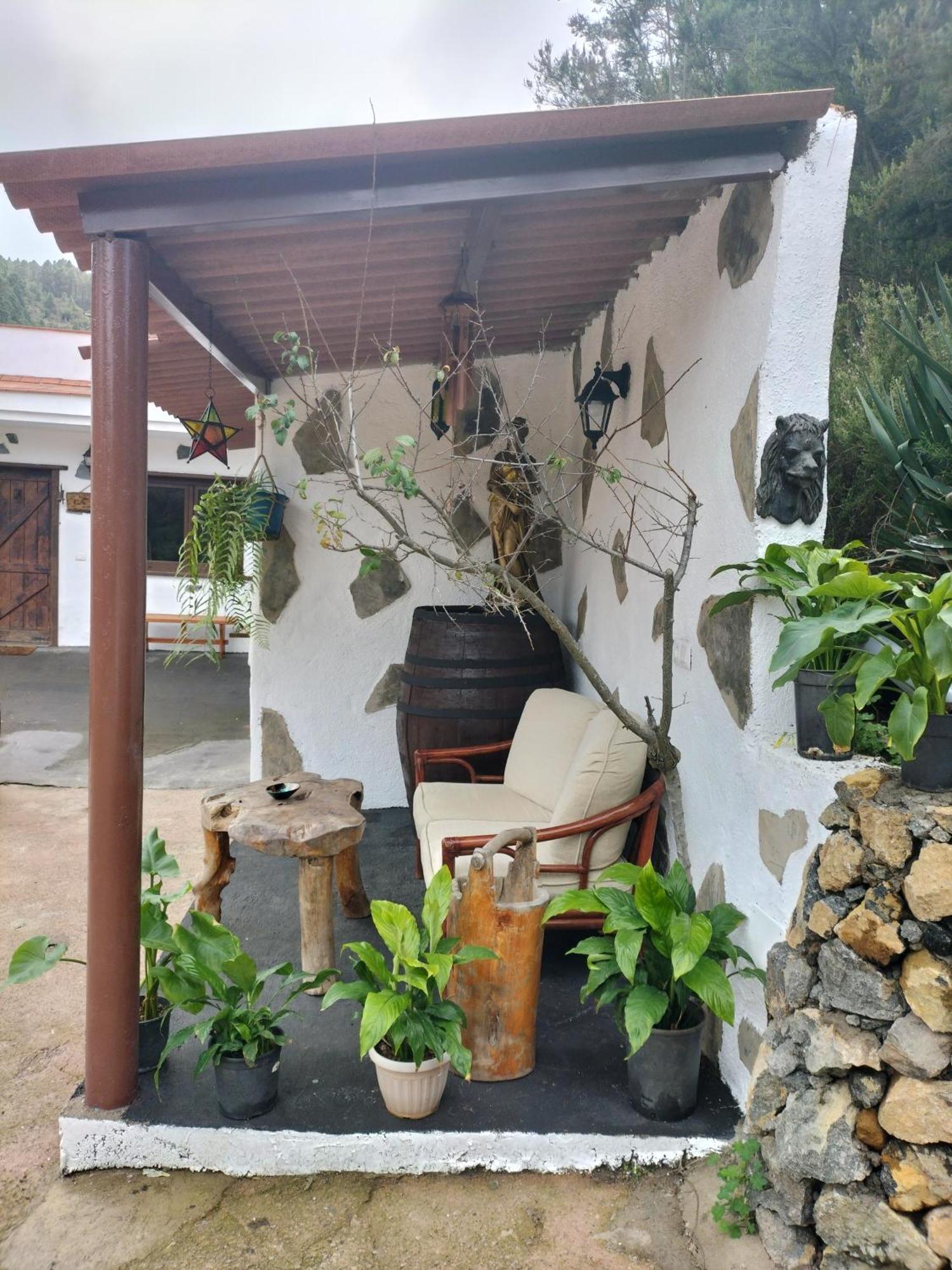 Finca Aurora Ecorural Icod De Los Vinos Exterior foto